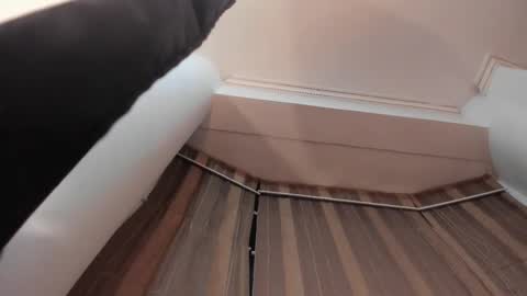 Jupiter Fox online show from 15, 10, 2025