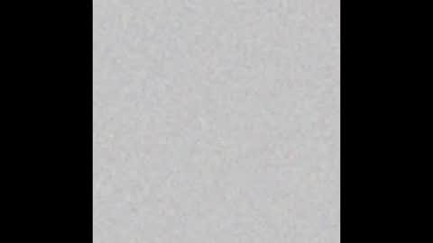 juriibigboss online show from 3, 10, 2025