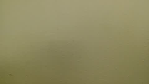 Snapshot of just_marlon chatting on 17, 1, 2025 Just marlon online show from 17, 1, 2025