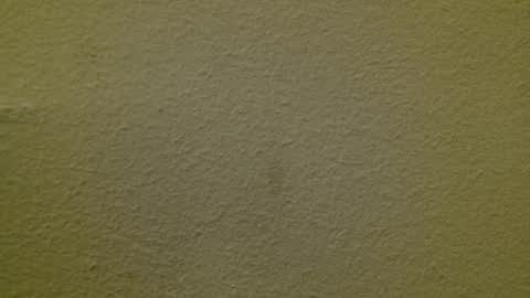 Snapshot of just_marlon chatting on 3, 3, 2025 Just marlon online show from 3, 3, 2025