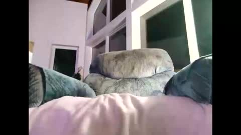 Snapshot of justforyou777770 chatting on 8, 1, 2025 Gil indpendant model exhibitionnist online show from 8, 1, 2025