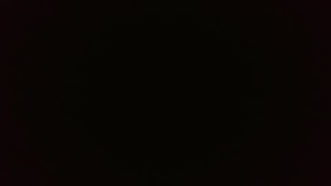 Wolf online show from 26, 2, 2025