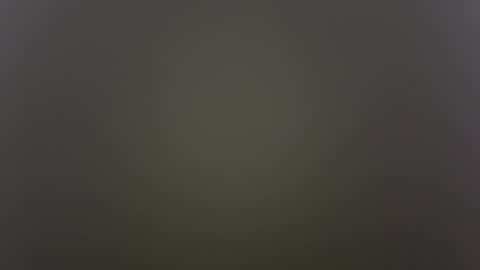          Anime Goth Kaila Kitty Kandy          online show from 30, 10, 2025