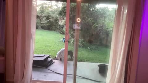 Kailee Smile online show from 7, 1, 2025