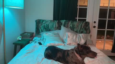 Kailee Smile online show from 10, 2, 2026