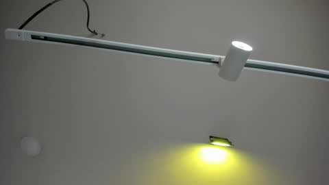 Snapshot of kaira_mosse_ chatting on 11, 2, 2026 kaira_mosse_ online show from 11, 2, 2026