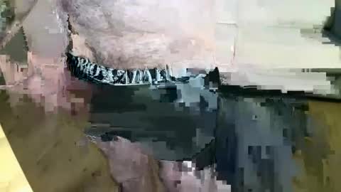 MusicMen49 online show from 22, 12, 2024