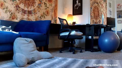 Snapshot of kalikushdreamz chatting on 14, 1, 2025 Tara Smith online show from 14, 1, 2025