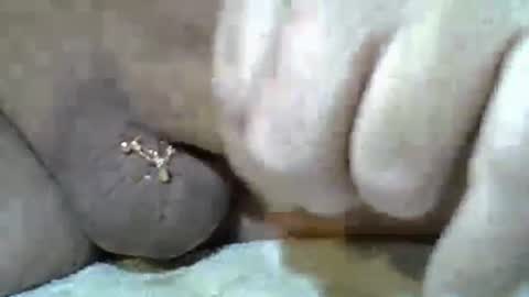 Kangarooh66 online show from 24, 11, 2025