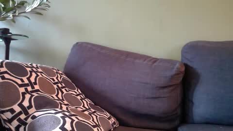 Karl online show from 13, 9, 2025