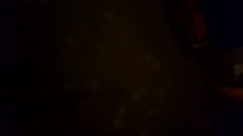 Karla Gonzaless online show from 6, 11, 2025