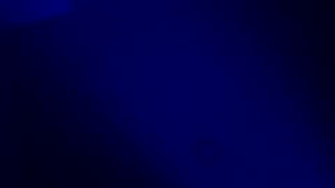 Karla Gonzaless online show from 19, 11, 2025