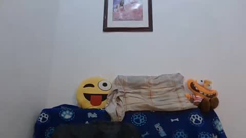    online show from 16, 1, 2025