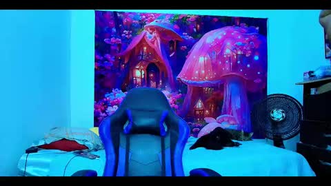    online show from 20, 10, 2025