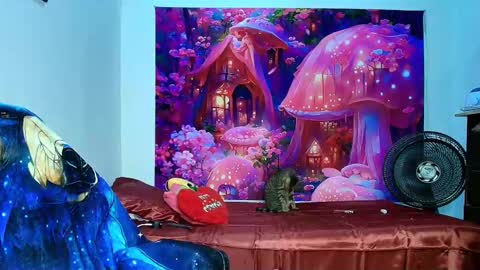    online show from 10, 11, 2025