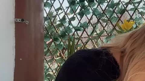 karoline121 online show from 17, 3, 2026