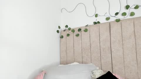           online show from 12, 1, 2026