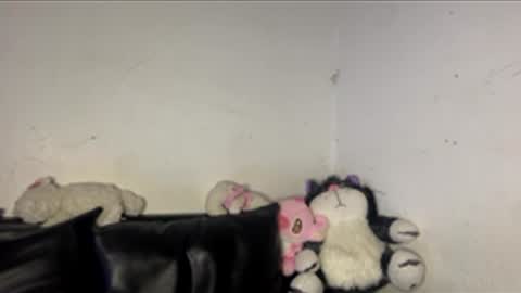 kattia online show from 16, 3, 2026