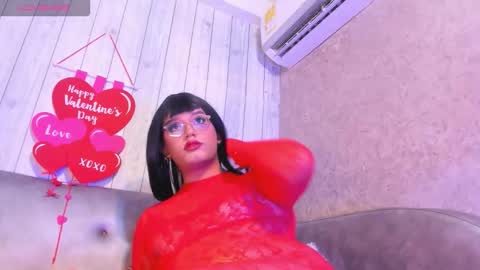 K A T T Y online show from 14, 2, 2026