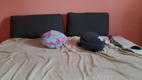 katusha008 online show from 31, 3, 2026