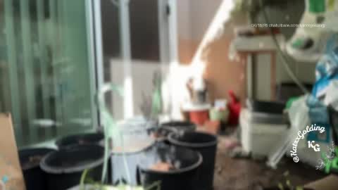 Princesse Kat  online show from 18, 4, 2026