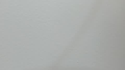 Snapshot of katy_and_paola chatting on 13, 2, 2025 katy blonde girl and paola big boobs online show from 13, 2, 2025