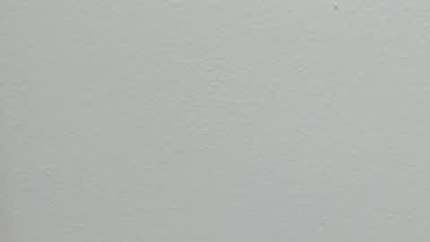 Snapshot of katy_and_paola chatting on 24, 9, 2025 katy blonde girl and paola big boobs online show from 24, 9, 2025