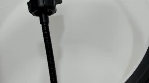 Snapshot of katy_and_paola chatting on 26, 9, 2025 katy blonde girl and paola big boobs online show from 26, 9, 2025