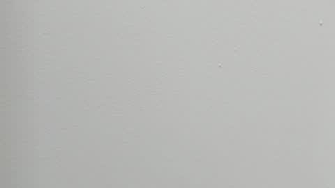 Snapshot of katy_and_paola chatting on 27, 10, 2025 katy blonde girl and paola big boobs online show from 27, 10, 2025