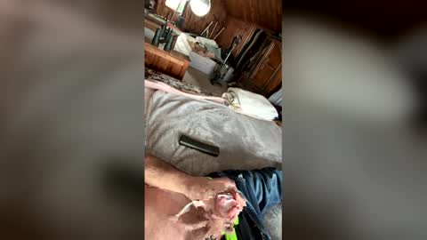 Snapshot of kckc40000 chatting on 14, 1, 2026 kckc40000 online show from 14, 1, 2026