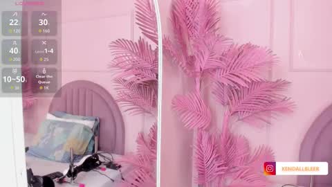 kendallbleer online show from 31, 10, 2025