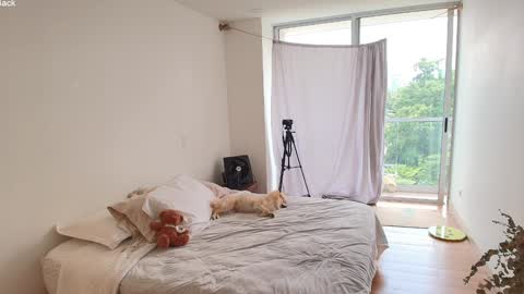 kendall online show from 10, 3, 2026