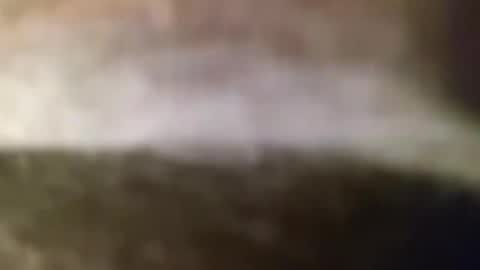 kendog3174 online show from 17, 11, 2025