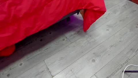 Kendra London online show from 13, 2, 2026