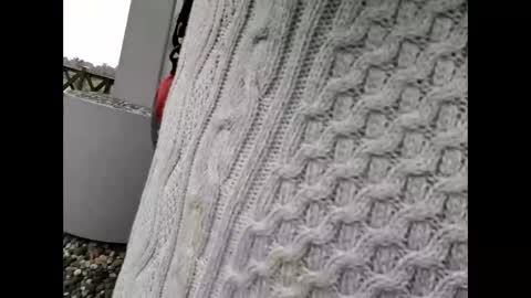 Snapshot of kenhiking chatting on 19, 2, 2026 kenhiking online show from 19, 2, 2026