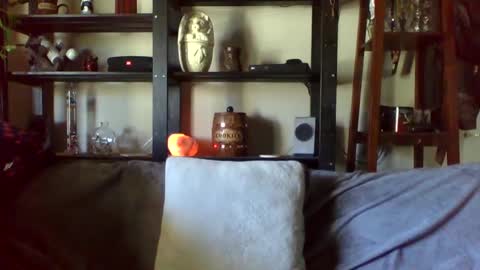 Ken Kuddles online show from 17, 1, 2025