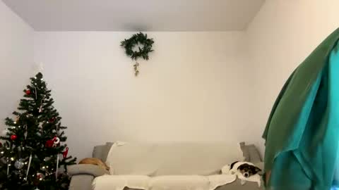 Kenna next time online - 2nd of Dec online show from 23, 12, 2024