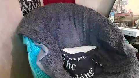 Kennedy Nova  online show from 20, 12, 2025