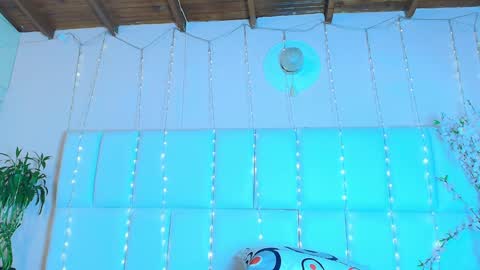    N         M online show from 26, 1, 2025