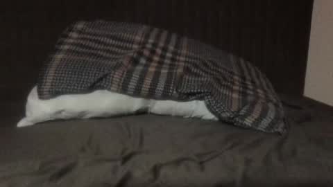 kiki3526 online show from 12, 3, 2026