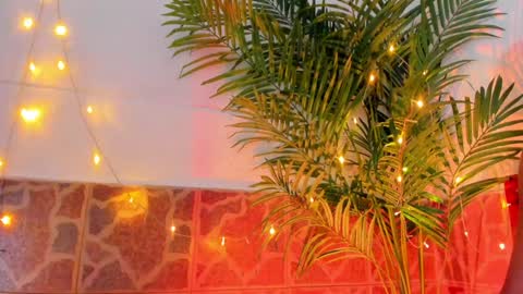 kimberly gonzalez online show from 17, 1, 2025