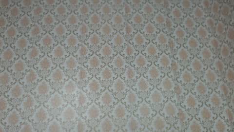 Kimberly online show from 30, 1, 2025