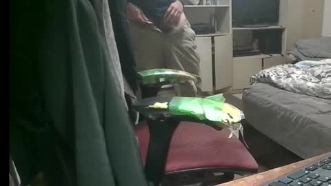 kinchan069 online show from 9, 11, 2025