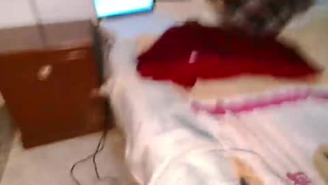 Conejo online show from 10, 3, 2025