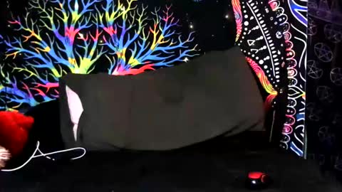 Jerry online show from 6, 2, 2026