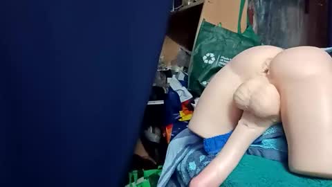 Snapshot of kingfisherrobbie chatting on 24, 10, 2025 Robbie online show from 24, 10, 2025