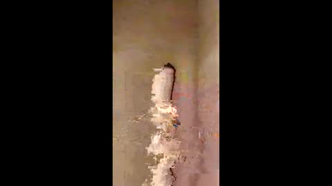 kini8278 online show from 21, 2, 2026