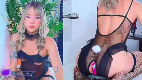    online show from 19, 2, 2026