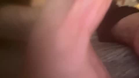 Snapshot of kinkydirtydaddy chatting on 24, 2, 2025 kinkydirtydaddy online show from 24, 2, 2025
