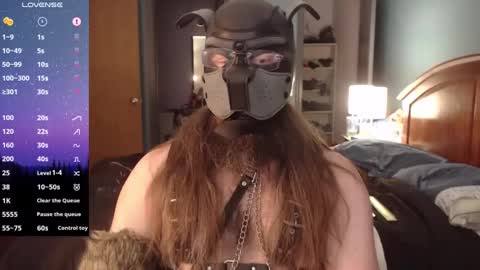 Snapshot of kinkywolf87 chatting on 2, 12, 2024 kinkywolf87 online show from 2, 12, 2024